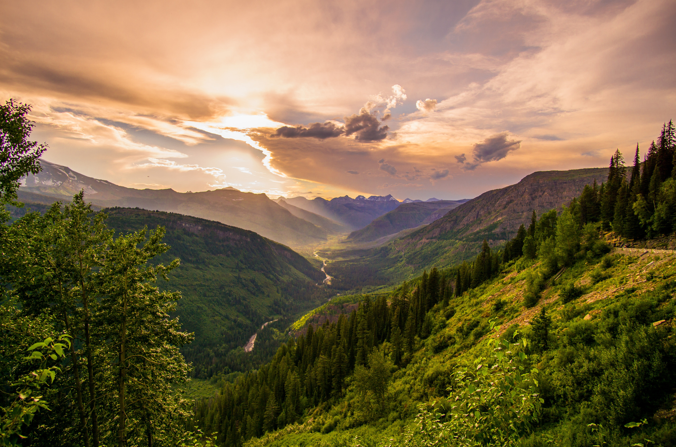 Mountain Forest and Sunset